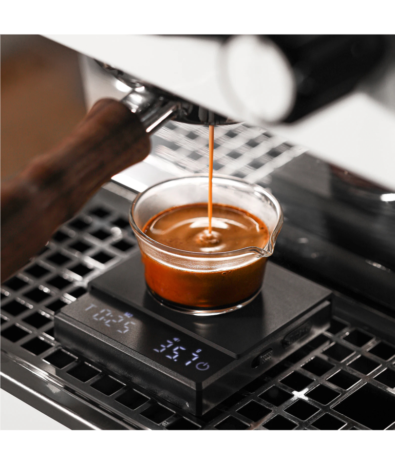 Kitchen Coffee Scale with Time - Kitchen Baking Timer ulasan dan harga